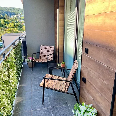 Lux Modern Near Center With Free Private Parking 公寓 布拉迪斯拉发
