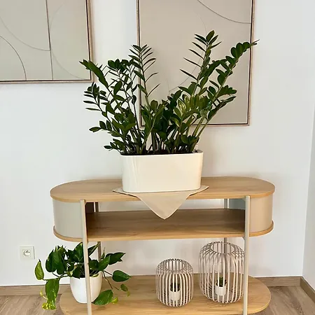 Apartment Lux Modern And Cozy With Free Parking